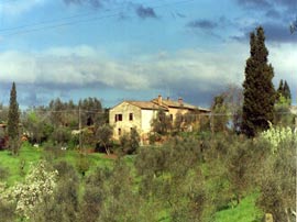 Vista sull' agriturismo La Torretta