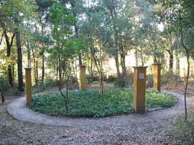 Scultura nel Bosco della Ragnaia, San Giovanni d'Asso, Siena