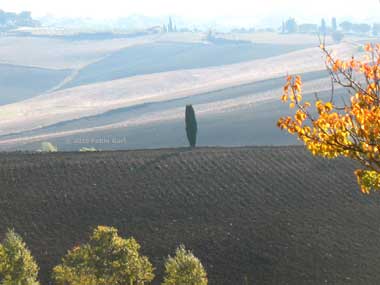 Chianti senese