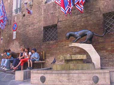 Siena, fontana di contrada e battesimo contradaiolo