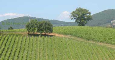 escursioni a settembre in Toscana