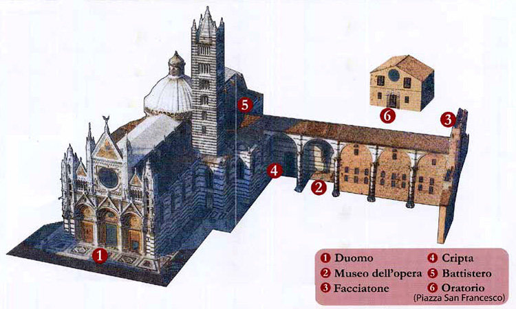 Duomo di siena. cosa vedere orari apertura costo biglietti Ingresso disegno Scala