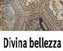 Scopertura del pavimento duomo di siena
