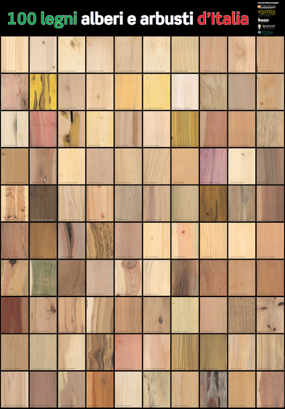 Tipi di legno: guida alle caratteristiche dei legnami italiani Tipo di legno per parquet