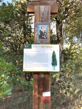 Riserva Naturale di Sant'Agnese