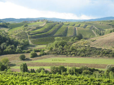 Panorama del Chianti