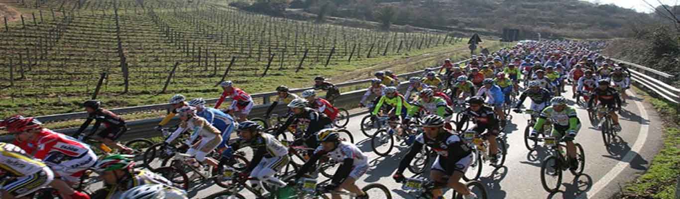 Siena, Gare Ciclismo