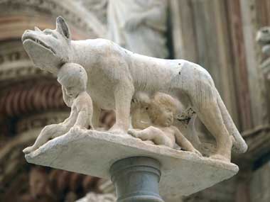 Siena, colonna con lupa che allatta Romolo e Remo