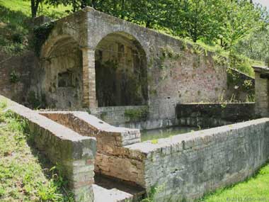 Siena Orto Botanico, Fonte al Pino o Fonte dell'Orto Botanico