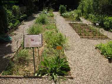 Orto Botanico Siena, nel centro storico di Siena. Un parco museo con piante esotiche e piante indigene