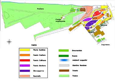 Siena, Orto Botanico, mappa