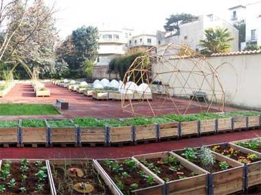 Orto sociale o community garden
