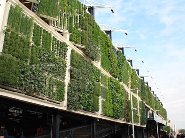 Orto sulla facciata, Expo 2015