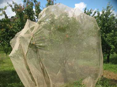 rete protezione uccelli