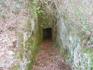 Grotti, necropoli etrusca