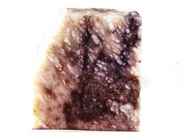 Alabastro bardiglio agatato di Monteguidi