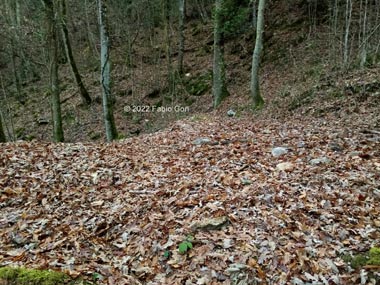 Val di Merse: miniere di ferro, forni fusori e ferriere
