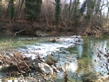 Guado sul fiume Merse, Riserva Naturale alto Merse