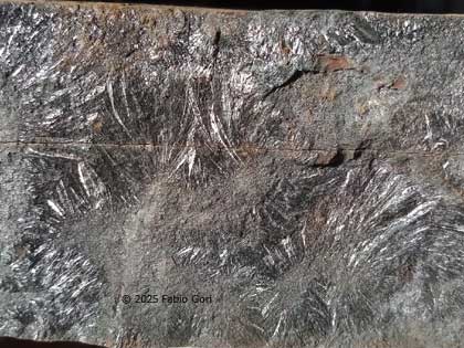 Miniera di Murlo, pirolusite