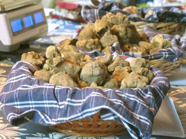 Tartufi, Mercato del Tartufo a San Giovanni d'Asso