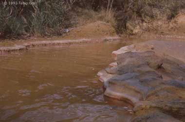 Siena, Acqua Borra, antica sorgente termale