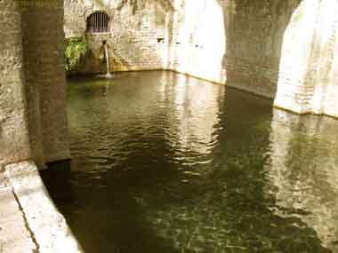 Siena fonte medievale