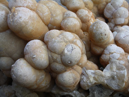Calcite stalattitica, Rapolano Terme